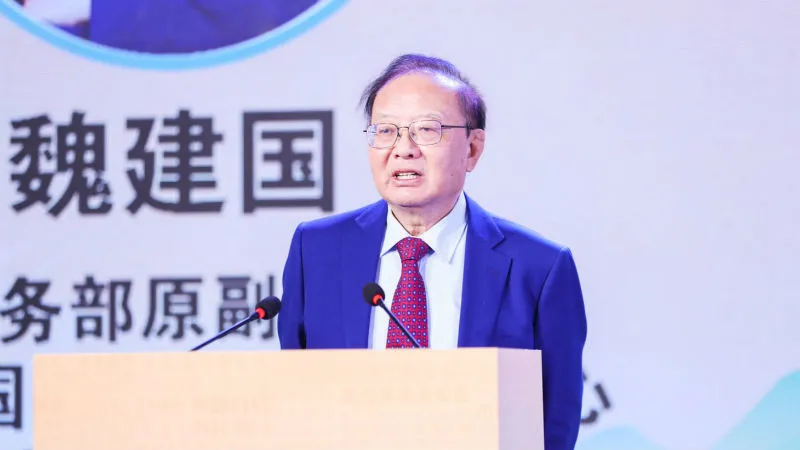 魏建國：當前是中國品牌走向世界的最好時機|中國式現代化實踐發展論壇